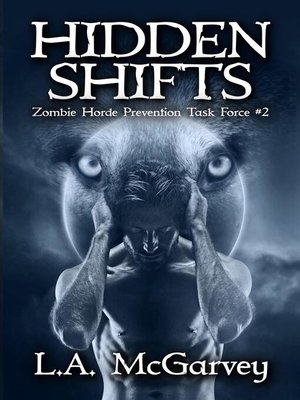 cover image of Hidden Shifts